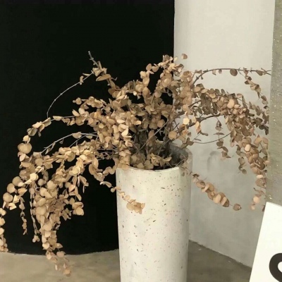 兽设背景场景绘制FurryQQ群